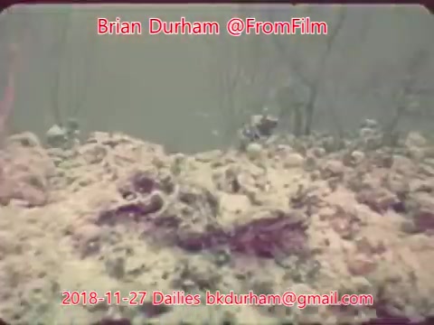 The still features an underwater scene captured in 16mm film, showcasing a sandy ocean floor adorned with coral and aquatic life. The colors appear slightly muted, characteristic of vintage film quality, and the overall atmosphere suggests a serene, submerged environment. Text overlay indicates the date and source of the image.