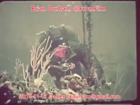 The still features a diver exploring an underwater scene, surrounded by coral and marine life. The diver is equipped with scuba gear, indicating an exploration or research activity. The color tones suggest a vintage film quality, typical of 16mm footage. The overlay includes the name Brian Durham and a date, marking it as part of a series of dailies.
