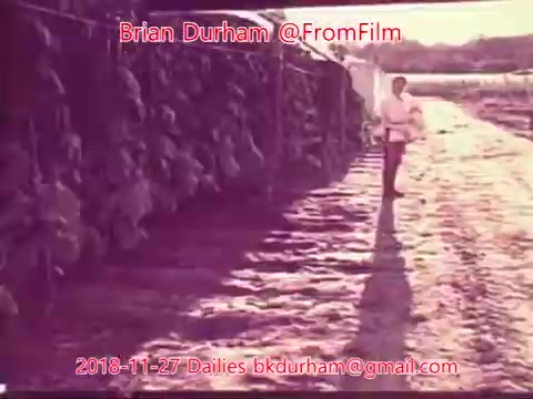The 16mm still features a dirt path with a person walking toward the camera, framed by tall foliage or crops on one side. The scene is illuminated by natural light, and the color tone suggests a nostalgic or vintage quality. The image is part of the '@FromFilm' dailies from November 27, 2018, and appears to document the environment or activity related to the context of 'ffn035-dristan-dailies.'