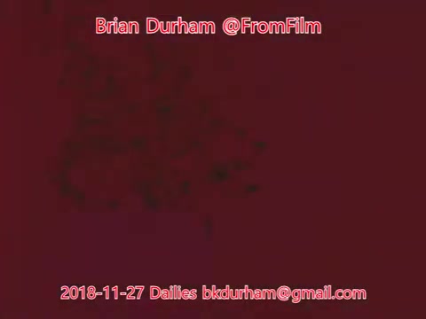 The still from the 16mm film titled 'ffn035-dristan-dailies' features a maroon background, with text overlay that includes the name 'Brian Durham,' the handle '@FromFilm,' and an email address. The date '2018-11-27' also appears, indicating the dailies from that day. The overall aesthetic is simple and minimalistic, focusing on the textual information rather than any visual narrative.