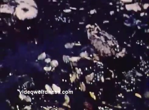 The still from the 'Montana Fish and Game PSA' features a close-up view of a natural setting, likely a stream or pond, adorned with stones and earthy elements. There’s a frog prominently positioned within the scene, highlighting the local wildlife. The overall atmosphere appears serene, emphasizing the importance of preserving Montana’s natural habitats.