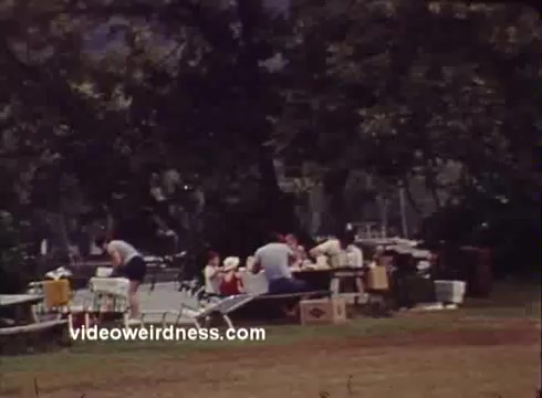 The still features a picnic scene set in a natural outdoor environment, likely near water. A group of people, including adults and children, are engaged in activities around tables filled with coolers and picnic supplies. The setting is lush with greenery, indicative of a warm day, and conveys a sense of recreation and community.