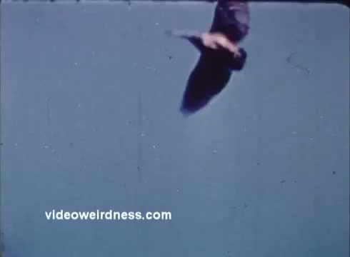 The still features a bird, likely in flight, against a blue background. It captures a moment from the Montana Fish and Game PSA, emphasizing wildlife conservation or education. The vintage 16mm film quality gives a nostalgic feel to the image.