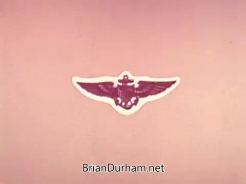 The still features a stylized emblem of the US Navy aviation, depicting wings with an anchor in the center. The background is a soft pastel color, enhancing the emblem's visibility. This image is likely part of a public service announcement aimed at recruiting individuals for naval aviation roles.