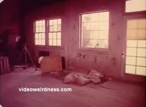 The still features an interior scene with a wooden floor and large windows letting in natural light. The room appears sparse, with a few items scattered around, including a large set of bags and a box. The overall ambiance is somewhat rustic and desolate, typical of a vintage film aesthetic. The color tone gives it a warm, nostalgic feel, suggesting it may be a setting for comedic or light-hearted moments in the 'Won Ton Ton' trailer.