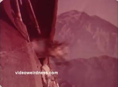 The still from the 'Won Ton Ton' movie trailer depicts a moment with a character or animal seemingly leaping or flying out of a rocky structure against a backdrop of mountains. The color palette suggests a vintage filter, giving it a nostalgic feel typical of 16mm prints. The scene likely captures a comedic or adventurous tone central to the film's themes.