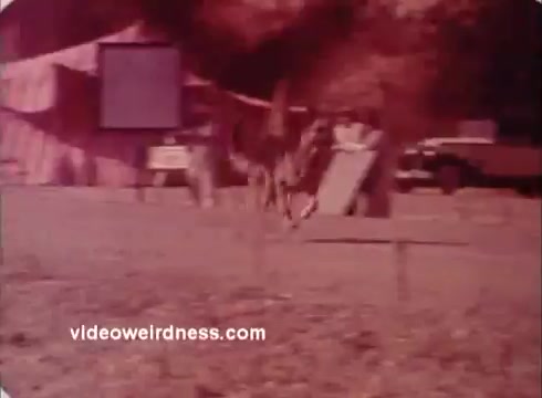 The still from the 'Won Ton Ton' movie trailer features a scene set outdoors, likely at a circus or carnival. In the background, there are a large tent and a projection screen. A couple of figures interact nearby, and a vehicle is seen parked off to the side. The color palette has a vintage look, indicative of 16mm film. The overall atmosphere suggests a playful and quirky tone, which aligns with the comedic nature of the movie.