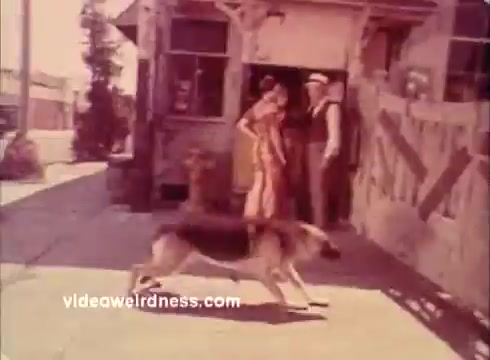 The still from the 'Won Ton Ton' movie trailer features a scene set on a sunlit street. A woman in a colorful dress stands near a building, engaged with a man in a hat and vest. A dog walks across the foreground, adding to the lively, casual atmosphere of the moment. The overall visual tone reflects a blend of humor and playful nostalgia typical of the film.