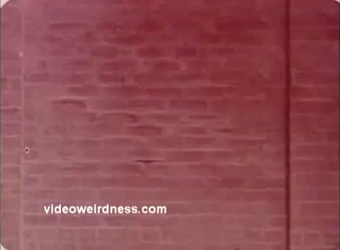 The still from the 'Won Ton Ton' movie trailer features a close-up of a textured brick wall. The image has a reddish tint, typical of older 16mm film prints. It emphasizes a simple, static background without any characters or action, likely serving as a backdrop element in the trailer. The quality reflects the vintage look associated with film from that era.