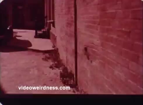 The still from the 'Won Ton Ton' movie trailer shows a narrow alleyway with a brick wall on one side. The ground is partially paved, and the lighting suggests an outdoor setting, possibly during the day. A hint of shadows adds depth to the scene. The overall color tone is warm, contributing to a nostalgic or vintage feel typical of 16mm prints.