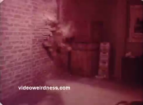 The still from the 'Won Ton Ton' movie trailer depicts a dynamic action scene where a figure appears to burst through a brick wall. The environment suggests an indoor setting with a rustic aesthetic, featuring a barrel and boxes in the background. The color palette leans towards a muted or faded look, typical of 16mm prints, adding a vintage feel to the image. The overall impression conveys a sense of chaos and humor, characteristic of the film's comedic tone.