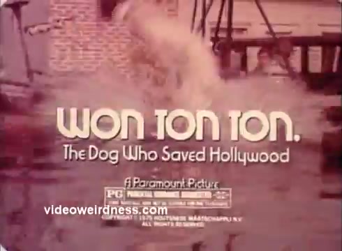 The still features the title 'Won Ton Ton: The Dog Who Saved Hollywood' prominently displayed, indicating it's a film trailer. The visual elements suggest a playful and adventurous tone, typical of family-friendly cinema. The background shows a blurred scene that may imply action or comedy, enhancing the film's whimsical premise. Provocative and humorous, it captures the essence of a light-hearted dog-centric story in the Hollywood setting.