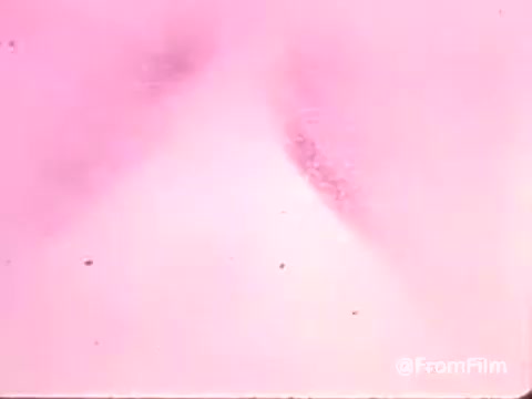 The still from the 16mm print of the 'DuPont Lucite Wall Paint' commercial features a soft, pink-hued background, possibly showcasing paint application or abstract effects. The visual suggests a focus on aesthetics, typical of 1970s advertising, emphasizing the product's vibrant colors and coverage. The commercial likely aims to attract viewers with its visually engaging presentation, promoting the paint priced at $7.97 per can.  For more insights, subscribe, like, or follow us on Twitter @FromFilm.