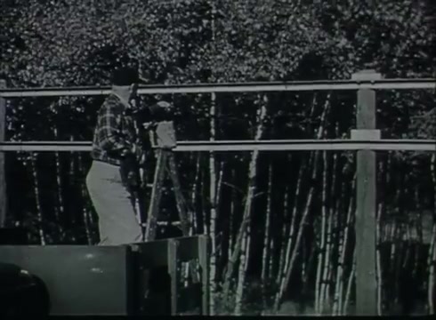The still depicts a worker in a checkered shirt and hat, positioned on a platform, using a surveying instrument. He appears to be focused on measuring or assessing equipment atop a utility pole. In the background, there are trees, suggesting an outdoor setting typical for telephone line installation. This aligns with the instructional theme of the film, which showcases the process of connecting telephone wires from utility poles to customer premises during the mid-20th century.