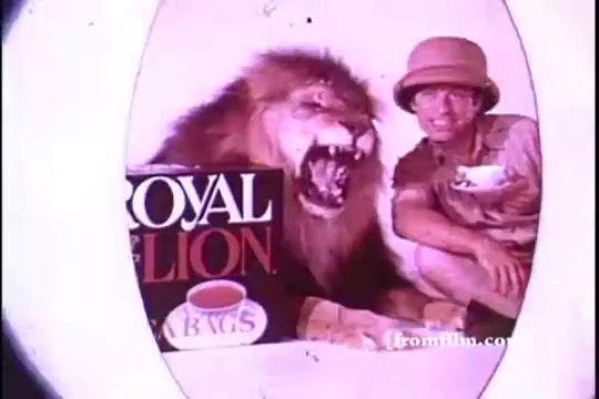The still features a man in safari attire sitting next to a roaring lion, with a large box of 'Royal Lion Tea' prominently displayed. The scene is colorful and has the distinct look of a 1970s 16mm film, evoking a sense of adventure and exoticism. The man holds a cup, enhancing the tea's promotional theme. The composition suggests a playful and bold marketing approach.