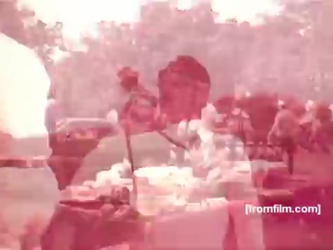 The still features a nostalgic scene reminiscent of 1970s Pabst Beer commercials, showcasing a lively outdoor gathering. People are engaged in social activities, possibly enjoying food and drinks, amid a vibrant, sunlit setting. The warm color tones and soft focus evoke a sense of camaraderie and leisure typical of that era’s advertising aesthetic.