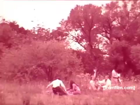 The still features a group of people in a natural setting, likely a park or field, enjoying a leisurely day. They are engaged in various activities, such as sitting on the grass and socializing. The scene has a warm, reddish tint typical of the film processing used during the 1970s, conveying a relaxed, nostalgic atmosphere that aligns with the carefree vibe promoted in beer commercials of that era.