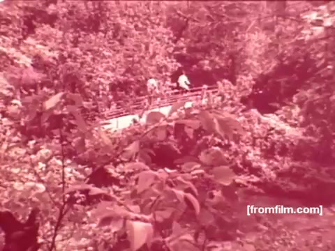 The still features a serene outdoor scene, likely from one of the 1970s Pabst Beer commercials. It shows a couple on a wooden bridge, surrounded by lush greenery and trees, conveying a sense of relaxation and adventure. The color tone has a warm, reddish hue, characteristic of the film's vintage style. The natural setting emphasizes the connection between the beverage and outdoor enjoyment.