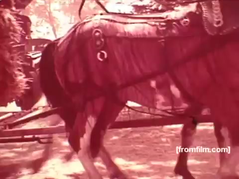 The still from the 'Pabst Beer Commercials - 1970's' features a horse adorned with gear, likely part of a vintage scene. The image has a red-tinted hue, characteristic of certain film styles from that era. The background suggests an outdoor setting, enhancing the nostalgic appeal of the advertisements. Overall, it captures a moment from the past, reflecting the cultural aesthetic of 1970s beer commercials.