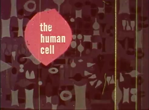 The still features a graphic design typical of mid-20th century educational films. It prominently showcases the phrase 'the human cell' in a bold, white font within a pink, organic shape. The background consists of a patterned collage of abstract shapes and forms, possibly representing cellular structures, all in muted colors. The overall composition emphasizes a scientific yet artistic approach, suitable for an educational context.