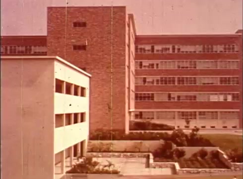 The still from 'The Human Cell and the Cytologist' depicts a modern educational facility, showcasing two distinct buildings: a white, flat-roofed structure in the foreground and a taller red-brick building in the background. The scene is set in a landscaped area, suggesting an environment conducive to learning. The film's aesthetic is characteristic of educational content from the period, with a slightly faded color palette.