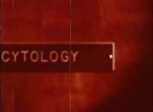 The still features a title card displaying the word 'CYTOLOGY' against a textured brown background. The text is prominently positioned, likely intended to introduce a segment of the educational film focused on the study of cells. The overall aesthetic reflects the vintage style typical of 16mm prints, with visible grain and slight imperfections.