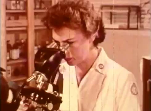 The still from 'The Human Cell and the Cytologist' depicts a female scientist peering through a microscope in a laboratory setting. She is dressed in a lab coat, highlighting her role in scientific research. The background suggests a well-equipped lab, likely with various scientific tools and materials, serving as a context for educational purposes about cellular biology. The image conveys a focus on microscopic study and the investigative nature of cytology.