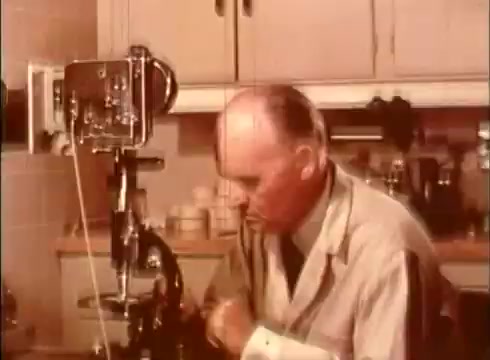 The still depicts a scene from an educational film, showcasing a cytologist in a laboratory setting. The individual is focused on a microscope, likely conducting research or analysis related to human cells. The background reveals a domestic kitchen environment, suggesting a casual or accessible approach to scientific inquiry. This image captures the intersection of science and everyday life, emphasizing the importance of cellular biology in education.