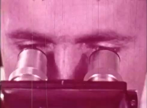 The still likely depicts a cytologist focused on a microscope, illustrating the study of human cells. The close-up emphasizes the intensity of the observation, typical for educational films aimed at highlighting scientific exploration and the intricacies of cellular biology. The color tone may suggest an older film print, contributing to the vintage educational aesthetic.