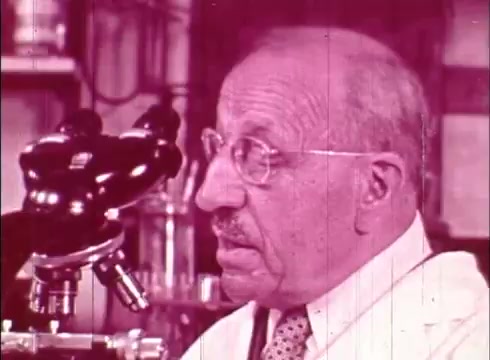 The still shows a bespectacled man focusing on a microscope, indicative of a cytologist at work. He appears engaged in his research, demonstrating the hands-on nature of studying human cells. The film likely serves an educational purpose, highlighting the significance of microscopy in biological studies. The image has a vintage quality typical of 16mm prints, with a slightly faded look.