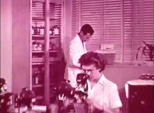 The still features a laboratory setting from the educational film 'The Human Cell and the Cytologist.' In the foreground, a woman in a white blouse peer through a microscope, indicating a focus on cellular study. In the background, a man in a white lab coat is engaged with laboratory equipment, likely involved in research tasks. The scene is illuminated with soft lighting, and the aesthetics reflect a mid-20th century educational vibe.