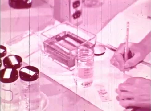 The still depicts a laboratory setting from the educational film 'The Human Cell and the Cytologist.' It features a desk with various glass containers, including jars with labels and a petri dish. A hand is seen holding a pencil, likely taking notes or recording observations. The overall tone is pinkish, indicative of the film’s age, reflecting a focus on scientific exploration and the study of cells.