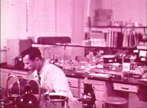 The still features a laboratory setting with a male scientist focused on work at a lab bench. He is surrounded by various scientific equipment, including beakers and a microscope, indicative of cytological research. The color tone is a retro pink, typical of 16mm film, enhancing its educational documentary aesthetic related to human cell studies. Books and lab materials in the background suggest a well-equipped environment for scientific exploration.