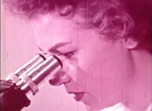 The still features a woman closely examining a microscope. The image has a pink tint typical of older educational films, and there are visible scratches and grain typical of 16mm prints. This scene likely illustrates the process of scientific observation, focusing on the human cell and the role of the cytologist in research.