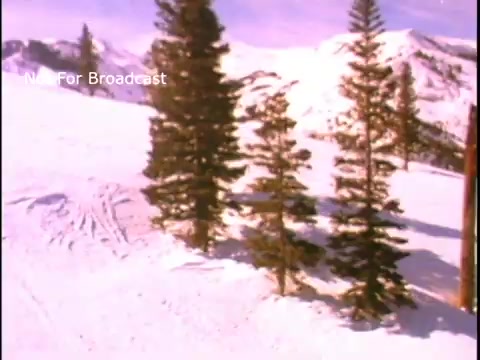 The still from the 'John Denver PSA - Presidents Council on Physical Fitness and Sports' features a serene winter landscape. It showcases a snowy environment with a few evergreen trees. The background consists of majestic mountains under a purple sky, evoking a sense of tranquility and promoting outdoor physical activity. The visual emphasizes the beauty of nature and the importance of fitness through skiing or other winter sports.