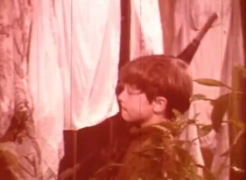 The still features a young boy standing amidst draped fabric and foliage, creating a whimsical and slightly surreal atmosphere. The color palette leans towards warm tones, enhancing the dreamlike quality. The boy's expression is contemplative, suggesting curiosity or introspection, fitting the imaginative context of 'Erik Satie and the King of the Beans - Part II.'