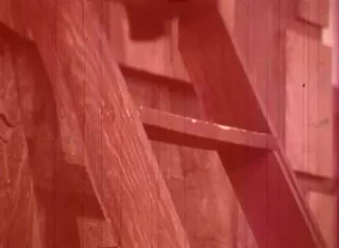 The still from 'Erik Satie and the King of the Beans - Part II' features a close-up of a wooden ladder, with a warm red tint giving the scene a nostalgic feel. The texture of the wood is highlighted, suggesting a focus on craft and simplicity, which aligns with the whimsical tone of Satie's music. The composition draws viewers into the intimate environment, possibly hinting at themes of aspiration or journey within the narrative.