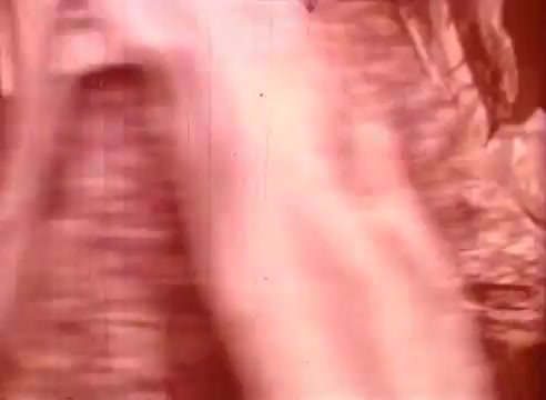 The still from 'Erik Satie and the King of the Beans - Part II' features a blurred, abstract image with warm tones. It suggests motion, possibly depicting a character or action within the narrative, evoking a whimsical or dreamlike atmosphere typical of the film's artistic style. The texture may hint at the film's vintage characteristics.