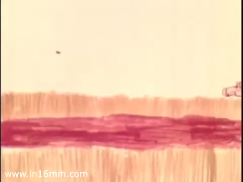 The still from the animated AMC Rebel commercial features a minimalist scene, possibly highlighting a road or pathway with distinct color bands. The animation style emphasizes simplicity and creativity, focusing on conveying a sense of movement and adventure associated with driving the AMC Rebel. Interestingly, the car itself isn't depicted in this frame, instead relying on abstract imagery to evoke its essence, which is characteristic of advertising in that era.