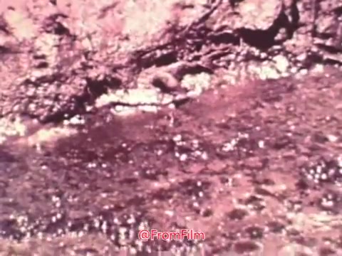 The still from the 'Project Hope' public service announcement depicts a natural landscape, likely featuring a body of water near a rocky shore. The image has a vintage aesthetic typical of 1960s 16mm film, characterized by muted colors and graininess. The focus appears to be on the interplay of light on the water's surface, suggesting a serene yet possibly reflective message associated with the project's aims. Overall, it conveys a sense of nature that may align with themes of hope and community well-being.