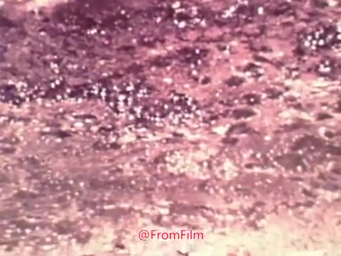 The still from the 16mm print of the 'Project Hope' public service announcement depicts a shimmering surface, likely water, reflecting light in various shades. The visual is characterized by a soft, dreamy quality typical of 1960s film. The interplay of sparkles and waves creates a tranquil yet engaging atmosphere, possibly symbolizing hope and renewal, fitting the theme of the announcement.