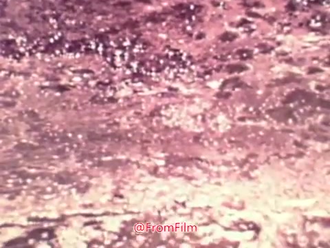 The 16mm still from the 'Project Hope' public service announcement features a shimmering, reflective surface, likely of water. The colors have a warm, vintage tint typical of the 1960s film era, with hints of pink and gold hues. The texture appears fluid and dynamic, capturing light beautifully. This aesthetic creates a serene and hopeful atmosphere, aligning with the message of the campaign.