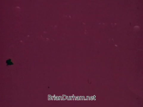 The still appears to be a 16mm film frame from an Iron City Beer commercial. The image features a predominantly pink background, with some indistinct outlines or shapes, possibly a logo or branding related to the beer. The overall quality suggests it may be an archival clip, emphasizing a nostalgic or retro aesthetic. The reference to 'BrianDurham.net' indicates this might be part of a collection or archive related to film or local advertising history.
