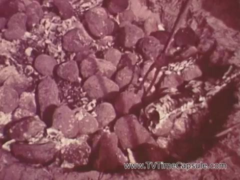 The still from the 'Army Recruiting Commercial - Your Man in Waikiki' depicts a close-up of a cooking scene, possibly featuring a fish being prepared over a fire. Surrounding the fish are smooth, rounded stones, which likely serve as a base for cooking. The overall color tone appears warm, hinting at a rustic, outdoor atmosphere. This imagery may suggest themes of camaraderie, survival skills, or lifestyle associated with military life in a tropical setting.