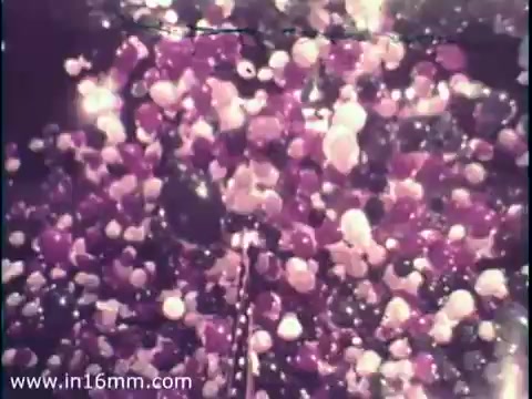 The 16mm still from the 1968 PSA for Chamber of Commerce focuses on a vibrant, abstract visual display, featuring a multitude of colorful orbs in shades of pink, purple, and white. This composition, likely created using a combination of animation or special effects, may symbolize the dynamic and diverse nature of the political landscape during the election year. The imagery conveys a sense of energy and movement, reflecting the spirit of civic engagement and participation.