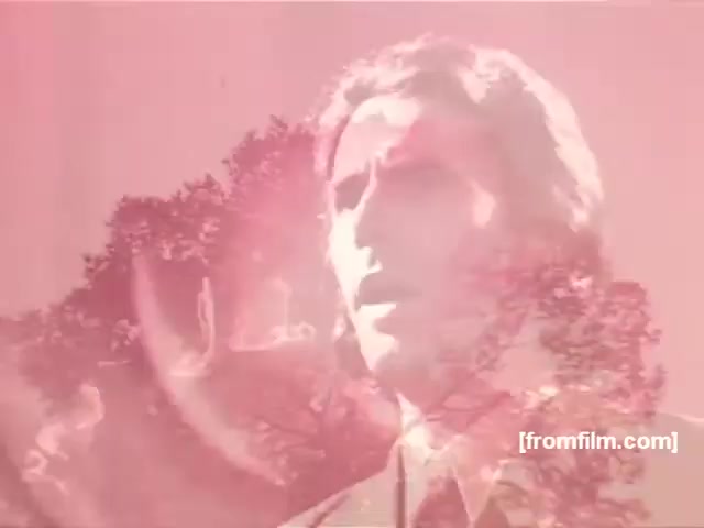 The still from the Souza Cruz Brazilian cigarette commercials features a man prominently in the foreground, with a serious expression and dressed in formal attire. The background appears to be an artistic blend of soft pink hues and foliage, creating a dreamlike quality. This aesthetic is characteristic of 1970s advertising, aiming to evoke emotions and associate the brand with a sense of sophistication and allure. The commercial likely emphasizes themes of enjoyment and lifestyle tied to smoking, typical for the era.