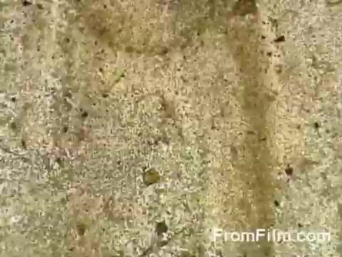 The still captures a weathered surface, likely a deck or runway, showing signs of wear with dirt and debris. It serves as a backdrop to the historic Doolittle Raid, where B-25 bombers were launched from the USS Hornet on April 18, 1942, symbolizing a pivotal moment in World War II. The focus on this surface reflects the operational environment of the aircraft during the raid.