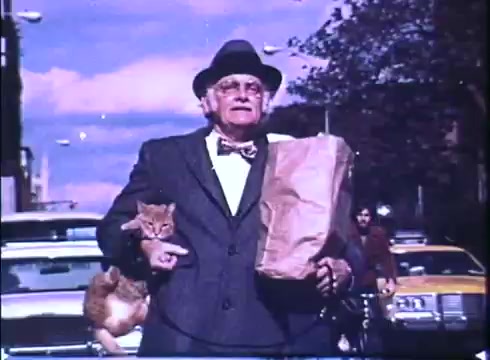 The still from the trailer of 'Harry and Tonto' features an elderly man, played by Art Carney, walking down a street. He is dressed in a suit and wearing a hat, holding a brown paper bag in one hand and a cat in the other. The background shows cars and trees, indicating an urban setting, with a blue sky and clouds above. The image captures a moment of everyday life, reflecting themes of companionship and adventure.