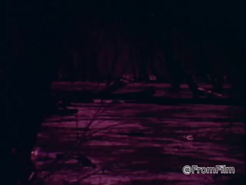 The 16mm still from the PSA features a scene depicting a flooded area, emphasizing the impact of floods on communities. The lighting and colors create a somber and serious mood, likely highlighting the urgency of the message regarding flood damage and the importance of the National Flood Insurance Program, as introduced by William Shatner. The visual serves to illustrate the risks associated with flooding, reinforcing the program's relevance for protection against such disasters.