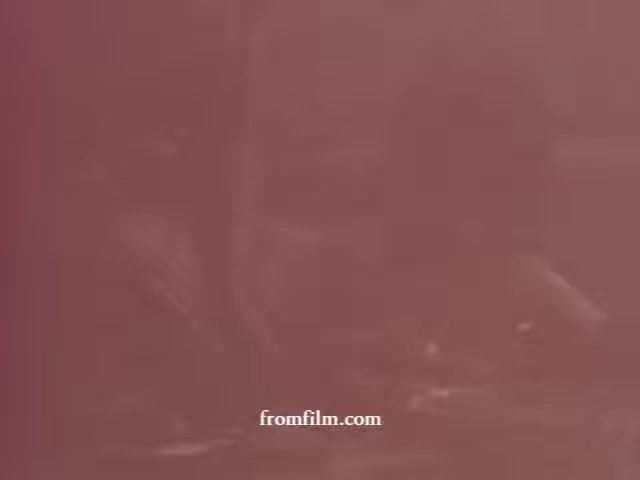 The still from 'Betty Crocker - Creamed Potatoes (1970's)' features a muted color palette, typical of 16mm film. The image appears hazy, with indistinct figures possibly engaged in meal preparation or cooking activities. The soft focus and vintage aesthetic evoke a nostalgic domestic atmosphere characteristic of the era, highlighting the simplicity and homeliness of the cooking process.